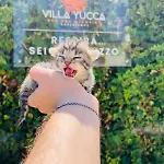 Bed & Breakfast Yucca - And Glamping 3*