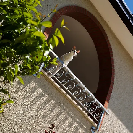 Yucca - Luxury And Glamping