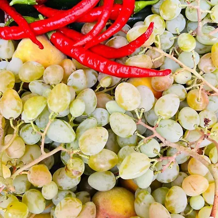 Yucca - Luxury And Glamping Nocleg ze śniadaniem 3*