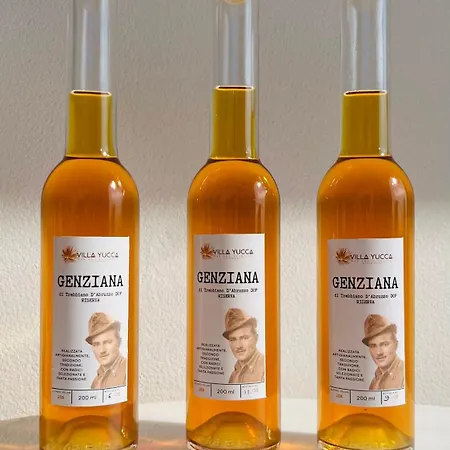 Yucca - B&b&glamping 3*