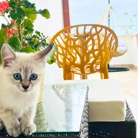 Yucca - Luxury And Glamping 3* Torano Nuovo