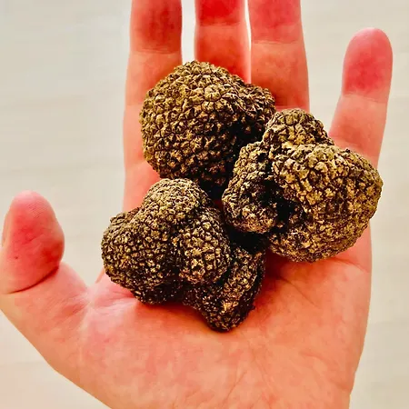 Yucca - Luxury And Glamping Bed & Breakfast