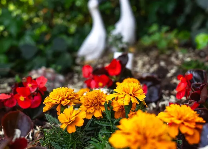 Yucca - Luxury And Glamping 3* Torano Nuovo