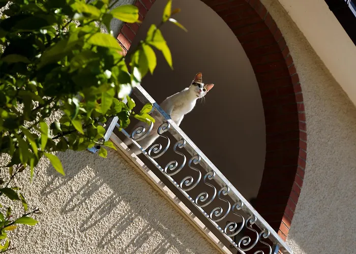 Yucca - Luxury And Glamping