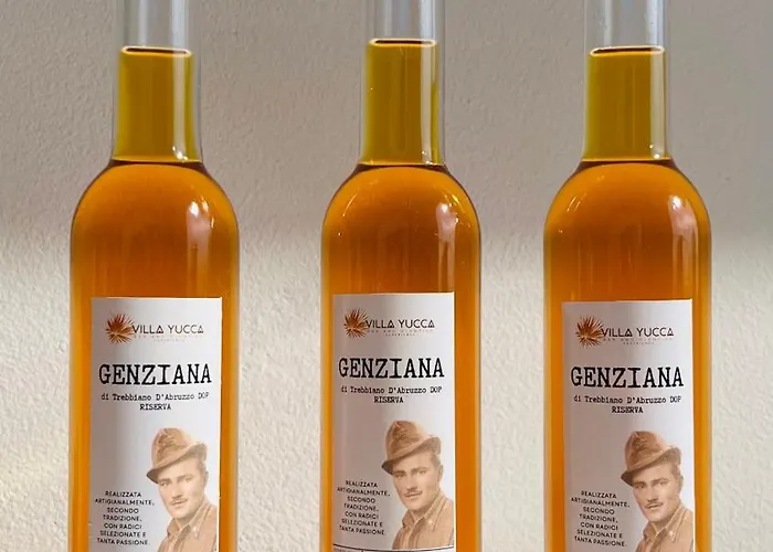 Yucca - Luxury And Glamping 3*